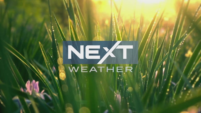 Next Weather 