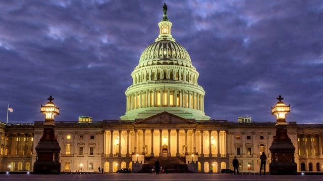US Election 2024 Congress 