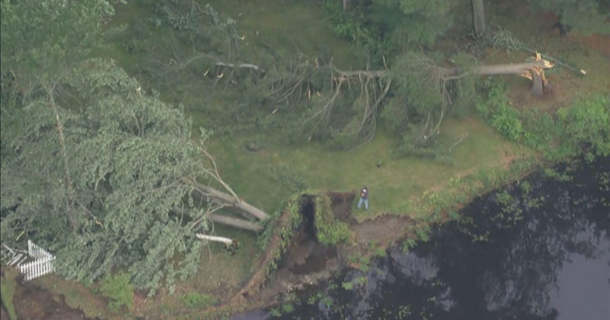 Sudden thunderstorms "came out of nowhere," downed massive trees in Ayer 